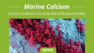 Marine Calcium Ocean sourced Calcium for Stronger Bones 1