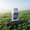 Lifestream Advanced Probiotic 14 Strains (30 vegecaps) 3 Lifestream-Advanced-Probiotic-14-Strains-2
