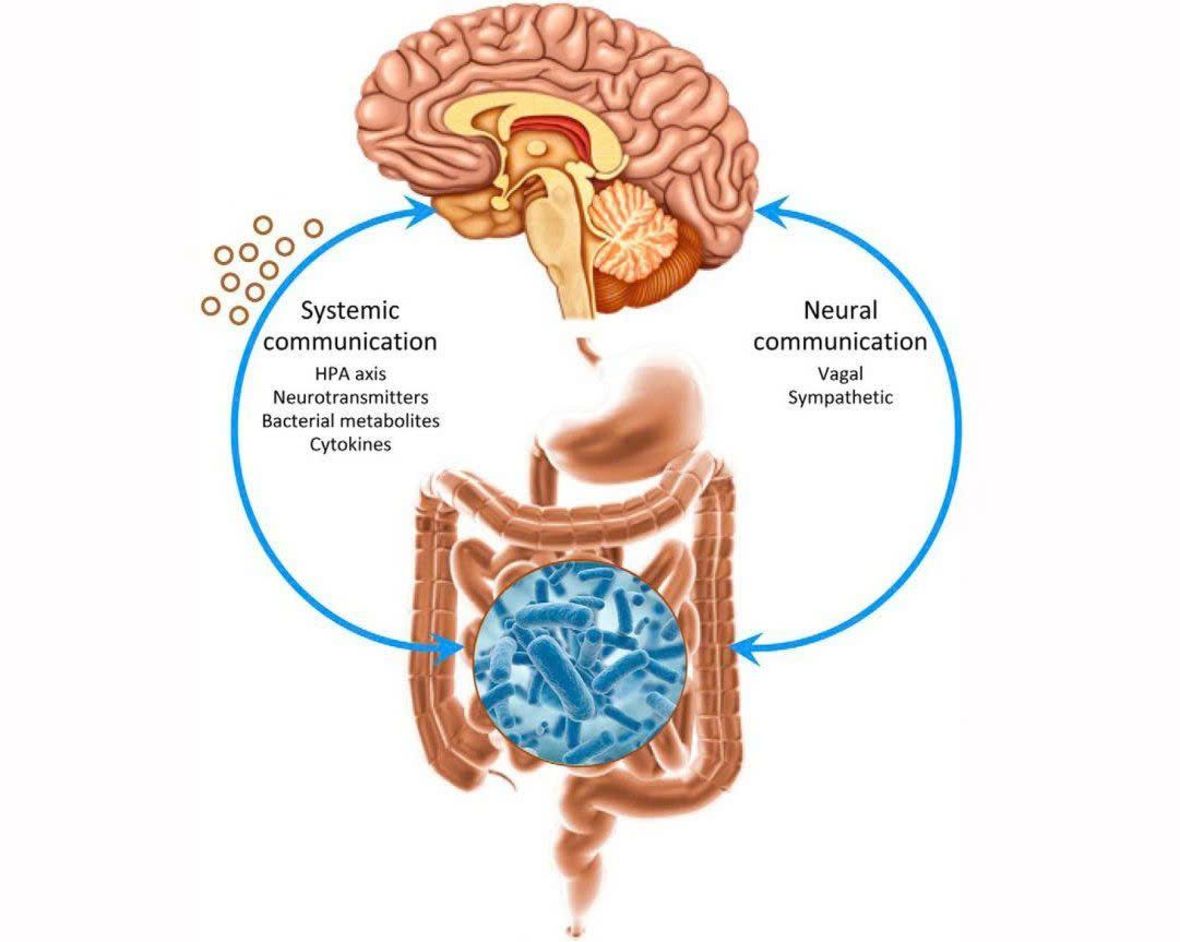 How to keep your brain healthy and functioning at its best 1 How to keep your brain healthy and functioning at its best