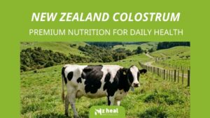 new zealand colostrum a premium source of nutrition for everyday health
