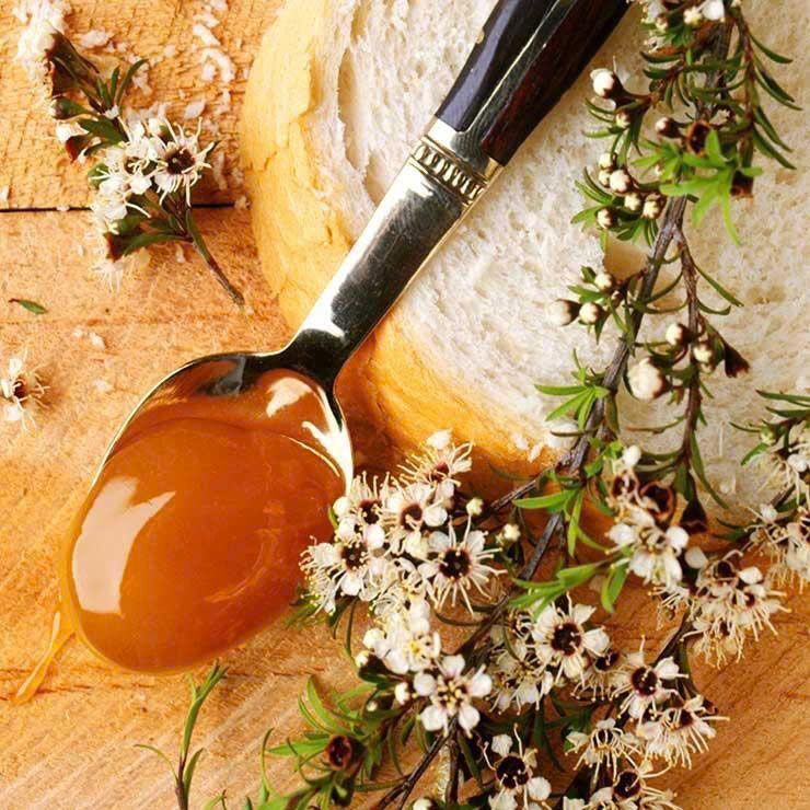 New Zealand Manuka Honey: From its native origin to activity ratings