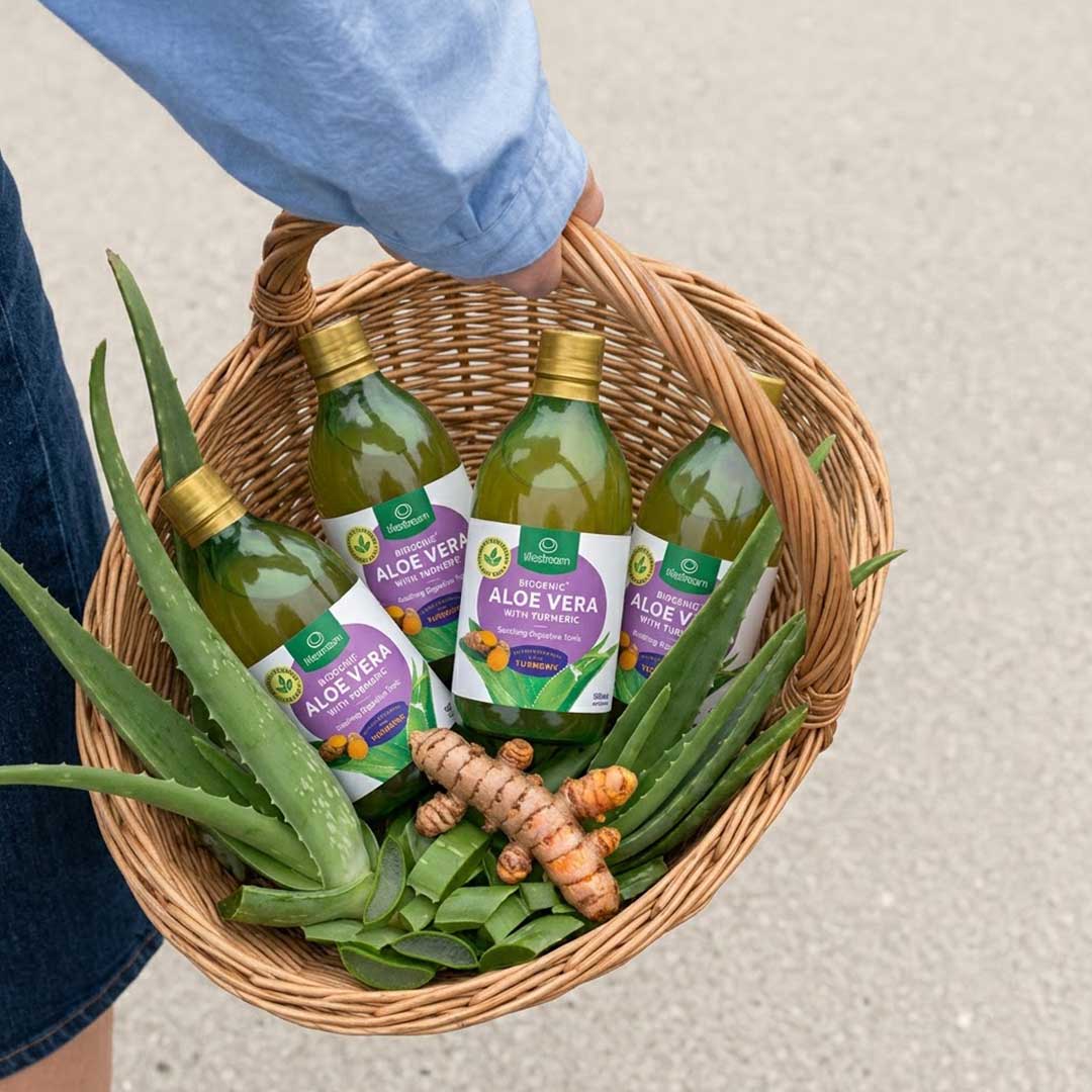 lifestream-biogenic-aloe-vera-turmeric-tonic-500ml (4) Lifestream Biogenic Aloe Vera + Turmeric Tonic (500ml)