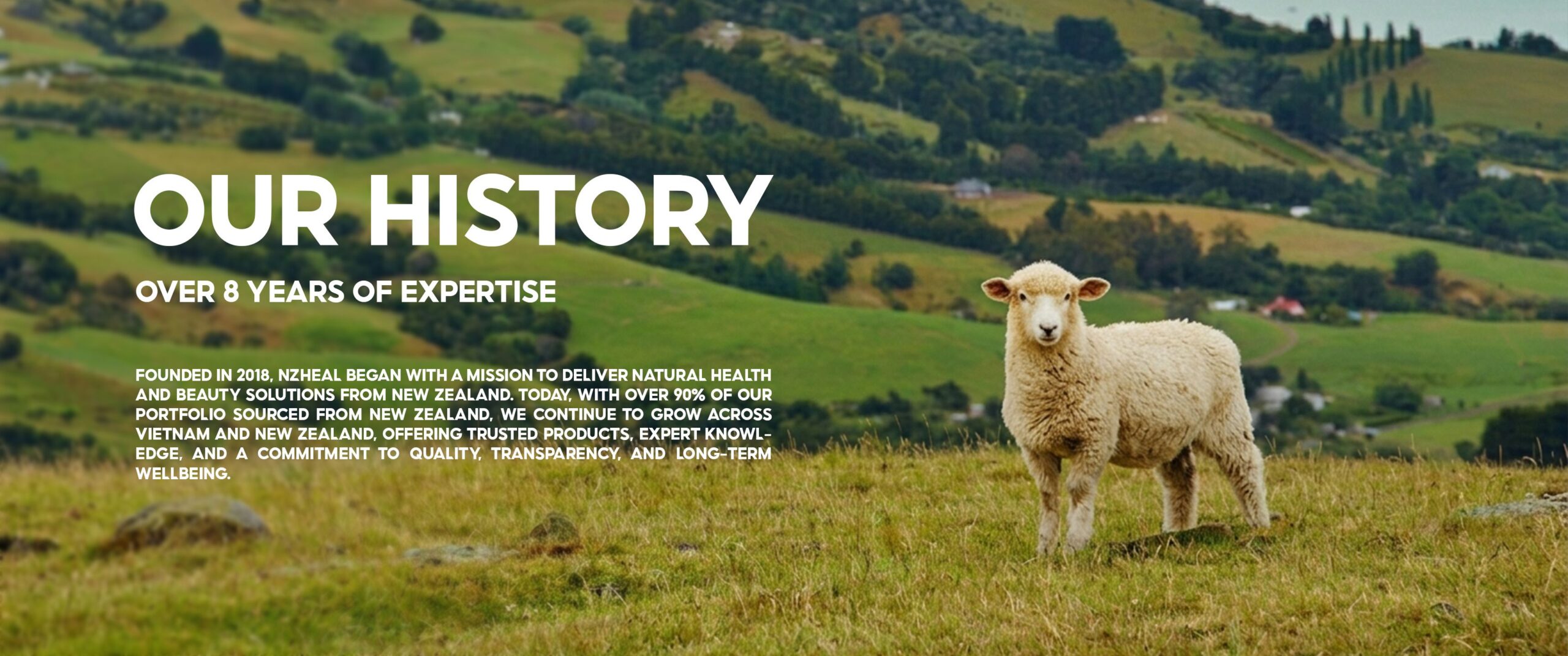 New Zealand - The beginning of Nzheal’s wellness journey 2 new-zealand-the-beginning-of-nzheals-wellness-journey (2)