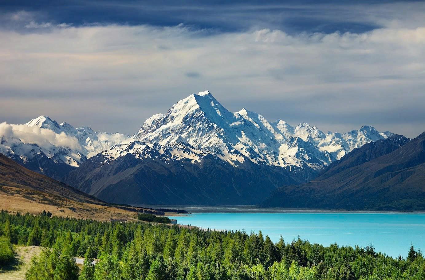 New Zealand - The beginning of Nzheal’s wellness journey 1 new-zealand-the-beginning-of-nzheals-wellness-journey (2)