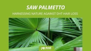 saw-palmetto-harnessing-nature-to-fight-dht-related-hair-loss