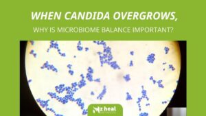 when-candida-overgrows-why-is-microbiome-balance-important